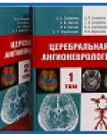 А. А. Скоромец, А. В. Амелин, Е. Р. Баранцевич [и др.] ; под редакцией академика Ю. А. Щербука