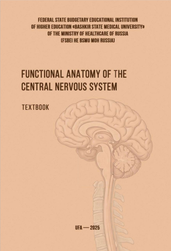 Functional anatomy of the central nervous system