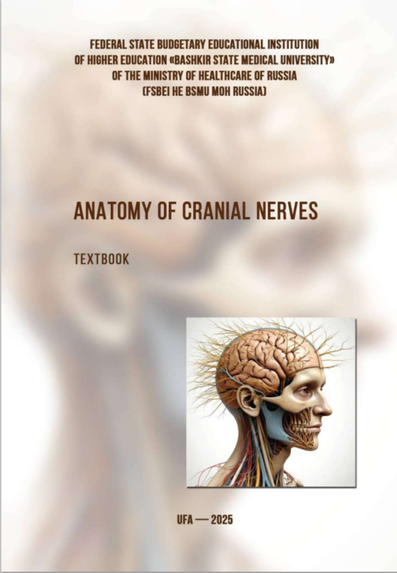 Anatomy of cranial nerves